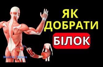 Борошно в контексті правильного харчування: різновиди та їх вибір для здорового способу життя