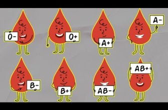 Вітаміни групи B: загальна характеристика та огляд видів
