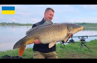 Десять найбільш корисних видів нежирної та доступної риби для зниження ваги