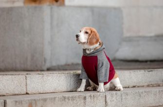 У Києві потеплішає, але ненадовго: до столиці мчить нове похолодання (інфографіка)