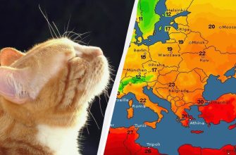 Синоптикиня назвала дату, коли Україна стане однією з найтепліших у Європі (карта)