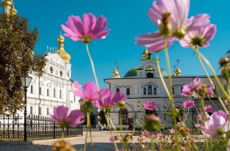 3 липня: сьогодні церковне свято, чому цей день вважається невдалим
