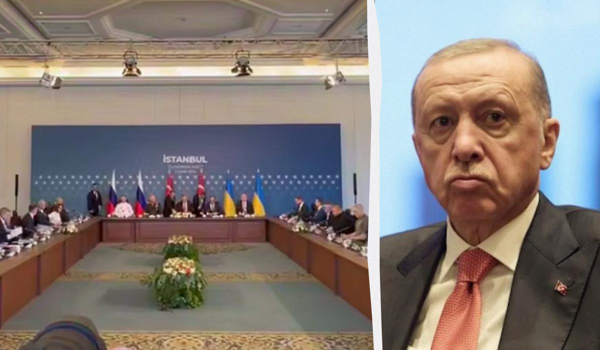 Ердоган підняв питання українсько-російських переговорів / колаж УНІАН, скриншот, president.gov.ua