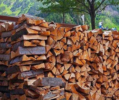 Продам дрова твердих порід дерева