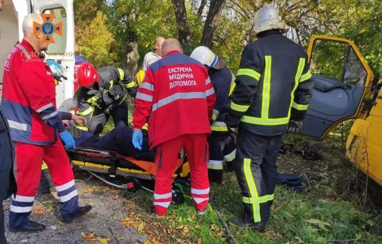 У Дніпропетровській області мікроавтобус врізався в дерево: постраждав водій