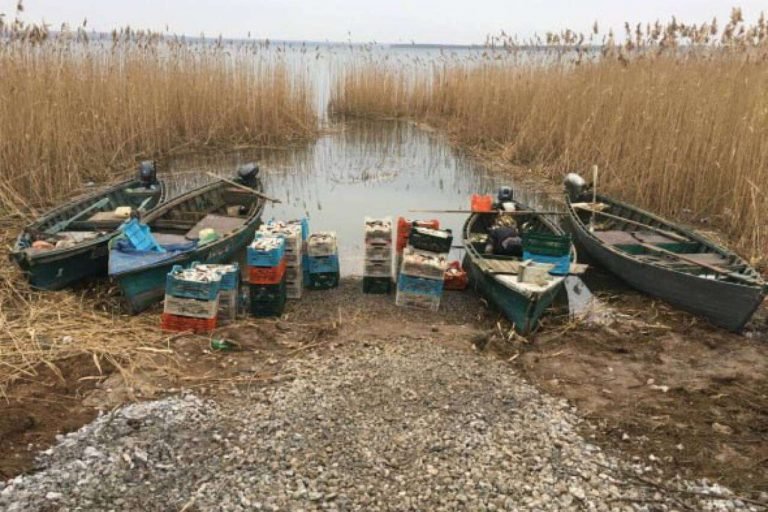 На березі водосховища у Дніпропетровській області викинули улов на 13 мільйонів