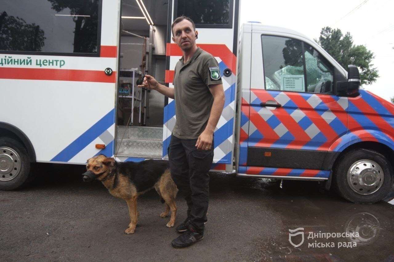 Виїзна стерилізація собак у Дніпрі