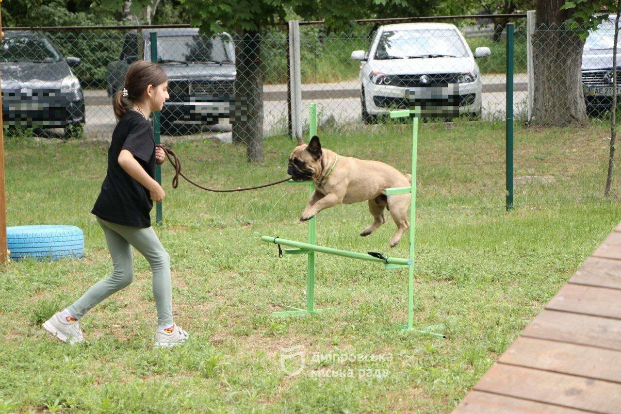 каністерапія дніпро