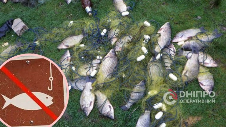 Заборона на риболовлю в Україні весною 2024 року: що потрібно знати