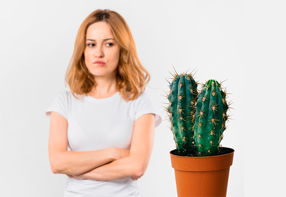 Хімічна дієта від Усами Хамді