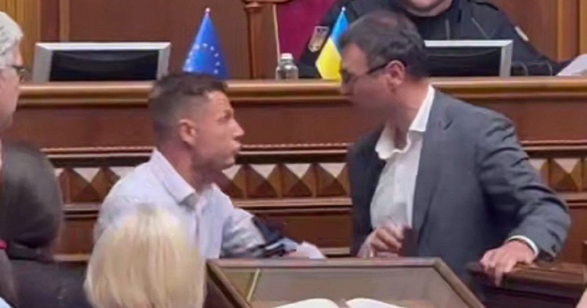 Народні депутати Олексій Гончаренко та Данил Гетманцев