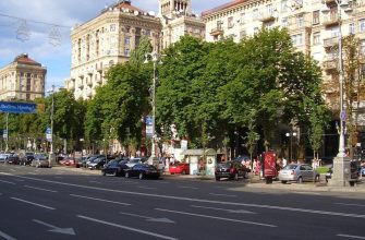 На Хрещатику в Києві троє молодиків напали на перехожих: які наслідки чекають на зловмисників (фото)
