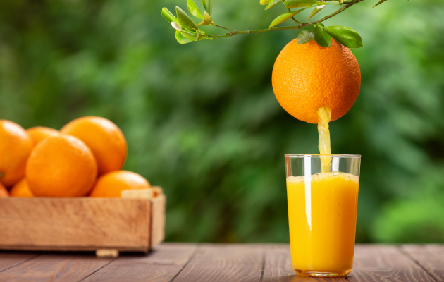 Алкалінна дієта