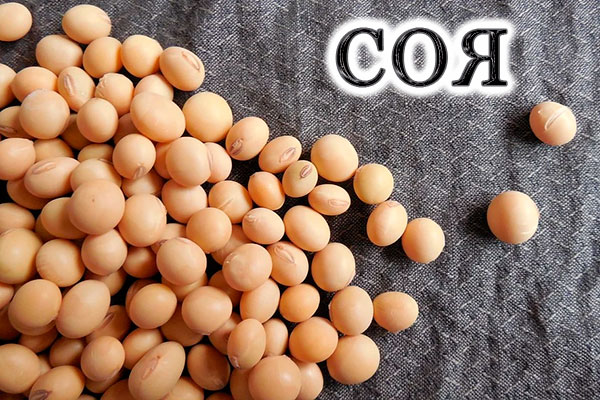 Соя