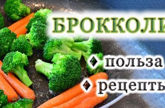 Броколі: користь для здоров'я та особливості + 10 пп-рецептів з броколі