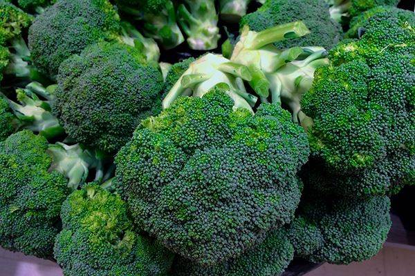Броколі