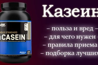 Казеїн: призначення, користь та негативні ефекти, а також рекомендації щодо вживання