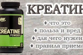 Креатин: призначення, рекомендації до прийому, переваги та ризики, правила використання