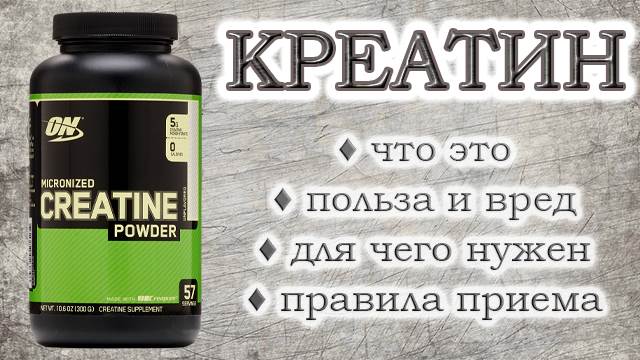 Креатин: призначення, рекомендації до прийому, переваги та ризики, правила використання