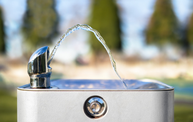 Дієта 7 пелюстків