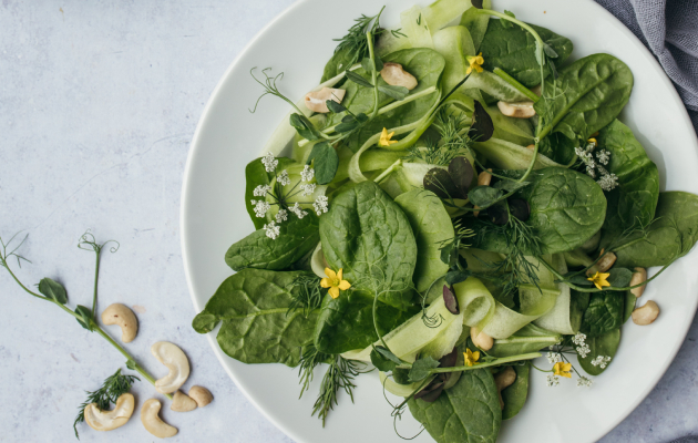 Дієта Аткінса