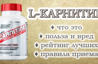 L-карнітин: призначення, користь і шкода, рекомендації щодо використання та топ кращих добавок
