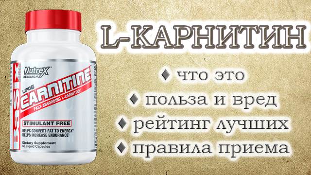 L-карнітин: призначення, користь і шкода