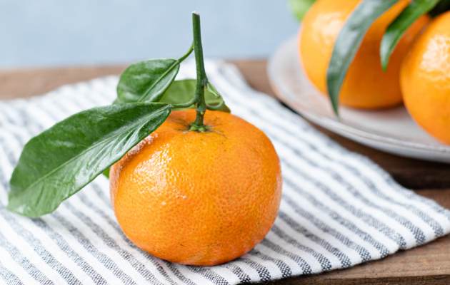 Метаболічна дієта