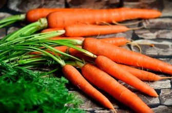 Десять найкращих продуктів для підтримки здоров'я ясен і запобігання пародонтозу Десять найкращих продуктів для підтримки здоров'я ясен і запобігання пародонтозу