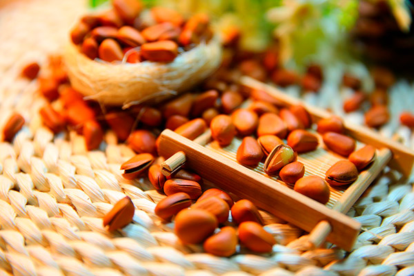 Сосновий горіх