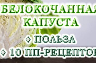 Капуста: користь і 10 пп-страв з нею