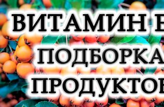 15 найкращих продуктів з високим вмістом вітаміну E