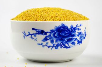 Користь пшоняної каші: особливості та 10 простих рецептів