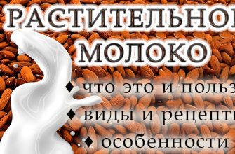 Рослинне молоко: переваги, особливості, різновиди та рецепти