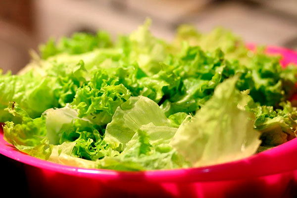 Листова зелень