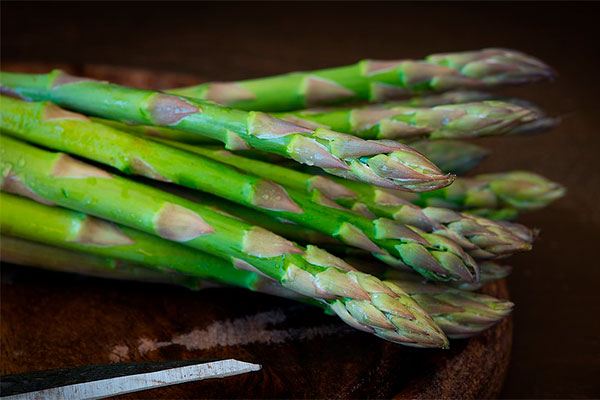 Спаржа