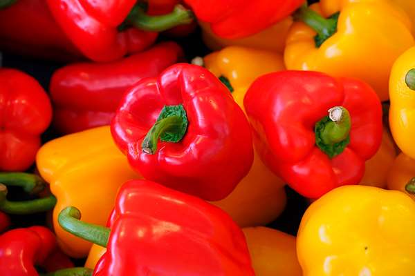 Болгарський перець