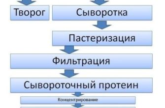 Усе, що ви бажали дізнатися про сироваточний протеїн: ціни, ефективність, особливості