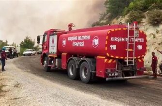 Количество жертв лесных пожаров в Турции возросло до 17