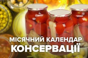 Літній календар заготівлі: що консервувати на зиму в липні та серпні