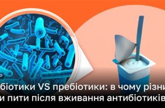 Пробіотики та пребіотики — відмінності та необхідність прийому для здоров'я