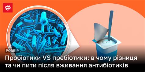 Пробіотики та пребіотики — відмінності та необхідність прийому для здоров