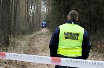 У польському лісі знайшли загадковий уламок, ймовірно пов'язаний із військовим літаком