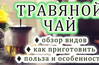20 найкращих трав’яних чаїв для поліпшення здоров’я: аналіз та властивості 20 найкращих трав’яних чаїв для поліпшення здоров’я: аналіз та властивості