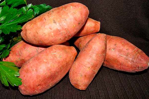 Солодка картопля