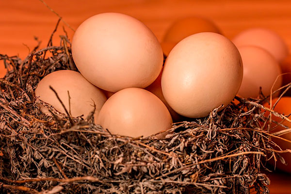 Курячі яйця